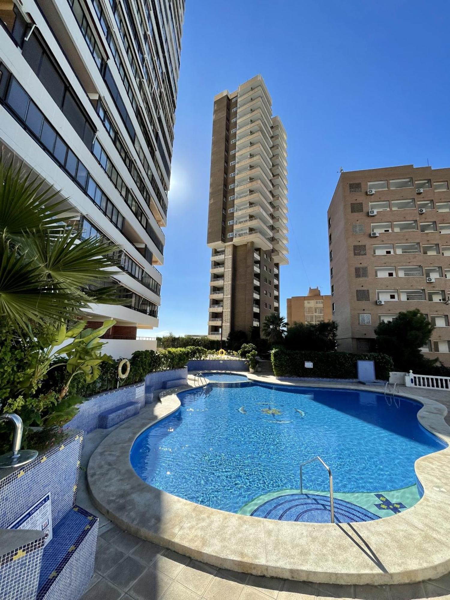 Trinisol 11 If Apartment